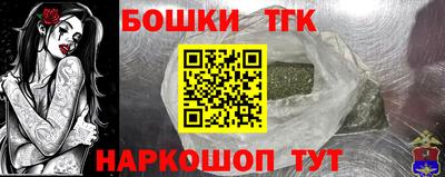 тгк Кингисепп