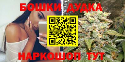 тгк Кингисепп