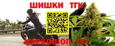 тгк Кингисепп