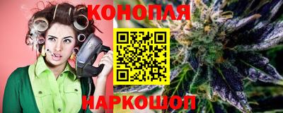 тгк Кингисепп