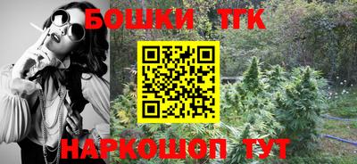 тгк Кингисепп