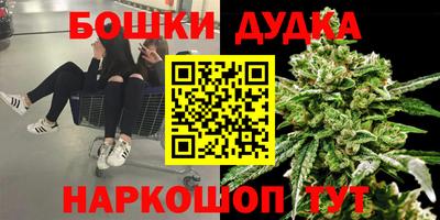 тгк Кингисепп