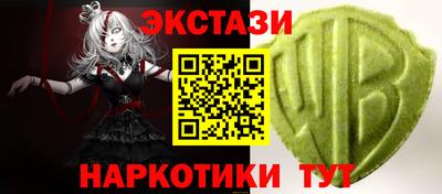 тгк Кингисепп