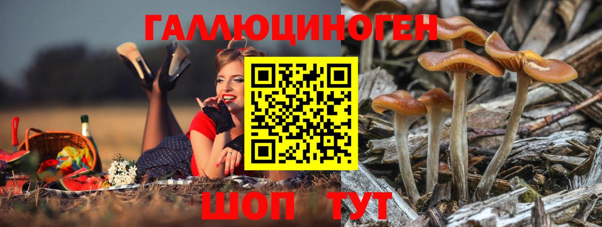 Псилоцибиновые грибы мицелий Крымск