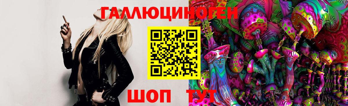 Крымск  Галлюциногенные грибы Psilocybe  Вход с VPN 